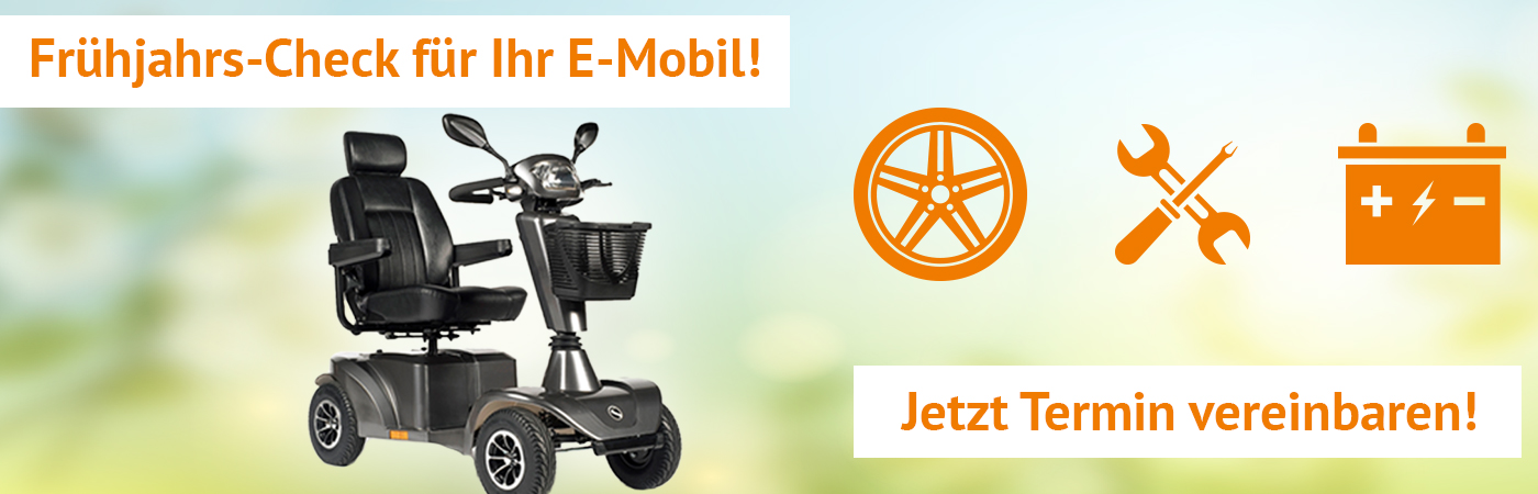 Frühjahrs-Check copy Frühjahrscheck